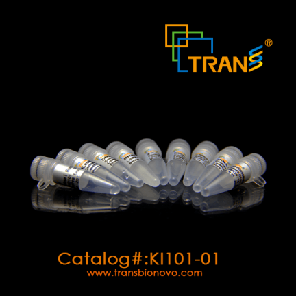 NGS™ Tn5 Index Kit for Illumina® KI101