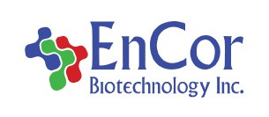 EnCor logo