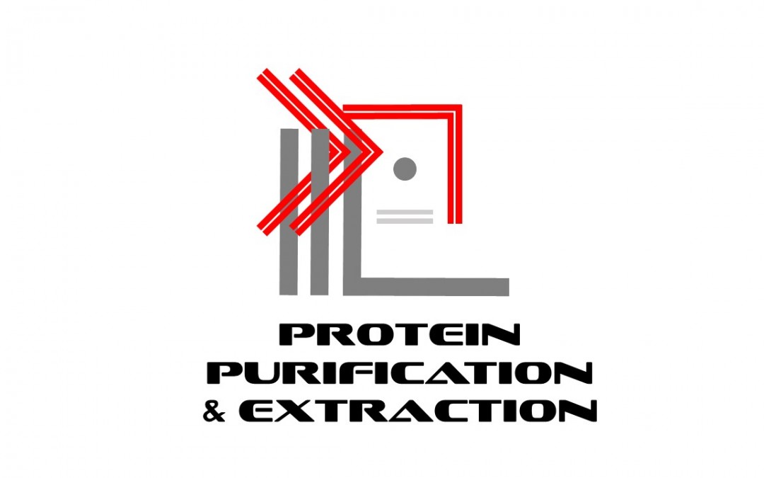 Protein Purification and Extraction