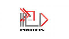 Protein Extraction, Purification and Detection