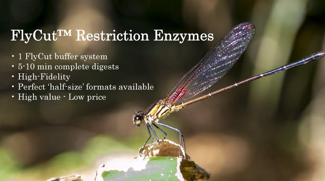 FlyCut Restriction Enzymes