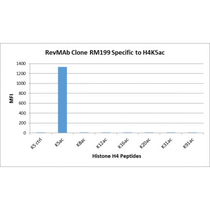 Anti-Acetyl-Histone H4 (Lys5) rabbit monoclonal antibody [RM199] image 2