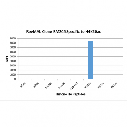 Anti-Acetyl-Histone H4 (Lys20) rabbit monoclonal antibody [RM205] image 2