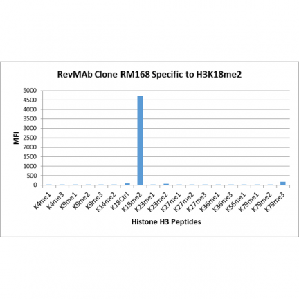 Anti-Dimethyl Histone H3 (Lys18) rabbit monoclonal antibody [RM168] image 3