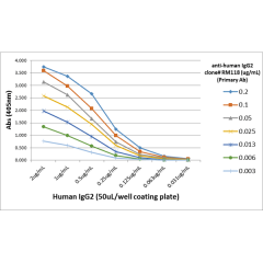Biotin Anti-Human IgG2 rabbit monoclonal antibody [RM118] image 1