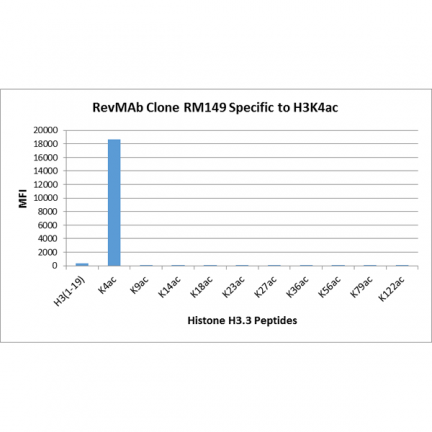 Anti-Acetyl-Histone H3 (Lys4) rabbit monoclonal antibody [RM149] image 3