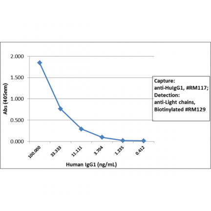 Biotin Anti-Human IgG1 rabbit monoclonal antibody [RM117] image 3