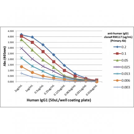 Biotin Anti-Human IgG1 rabbit monoclonal antibody [RM117] image 1