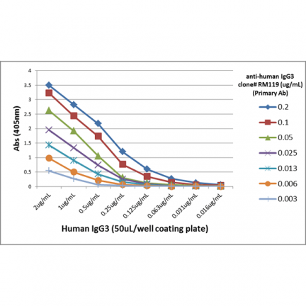 Biotin Anti-Human IgG3 rabbit monoclonal antibody [RM119] image 2