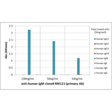 Biotin Anti-Human IgM rabbit monoclonal antibody [RM121] image 1