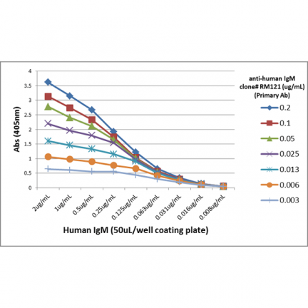 Biotin Anti-Human IgM rabbit monoclonal antibody [RM121] image 4