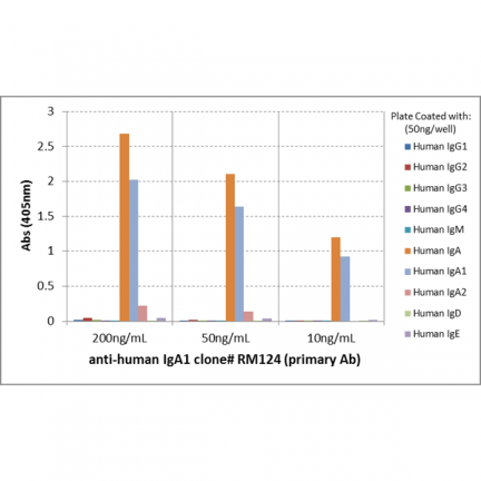 Biotin Anti-Human IgA1 rabbit monoclonal antibody [RM124] image 4