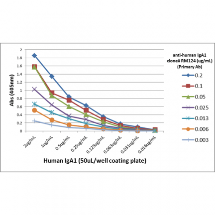 Biotin Anti-Human IgA1 rabbit monoclonal antibody [RM124] image 3