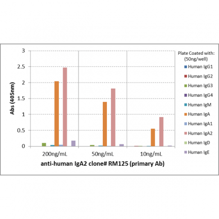 Biotin Anti-Human IgA2 rabbit monoclonal antibody [RM125] image 2
