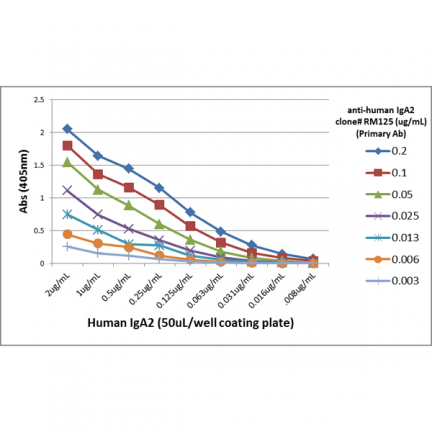 Biotin Anti-Human IgA2 rabbit monoclonal antibody [RM125] image 4