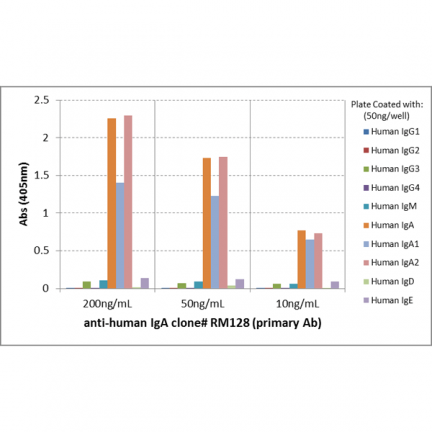 Anti-Human IgA rabbit monoclonal antibody [RM128] image 1
