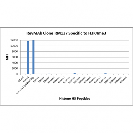 Anti-Trimethyl-Histone H3 (Lys4) rabbit monoclonal antibody [RM137] image 3