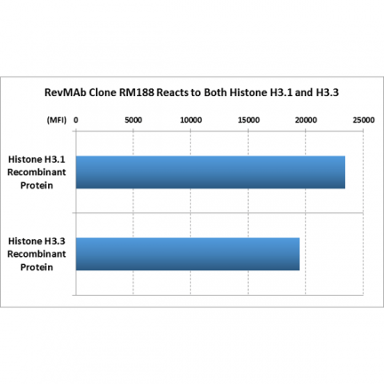 Anti-Histone H3 pan rabbit monoclonal antibody [RM188] image 3