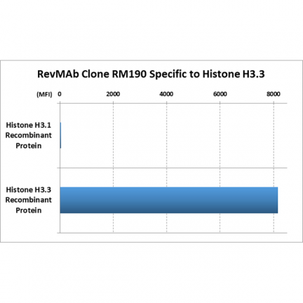 Anti-Histone H3.3 rabbit monoclonal antibody [RM190] image 2