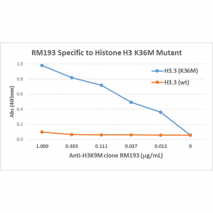 Anti-Histone H3 K36M rabbit monoclonal antibody [RM193] image 2