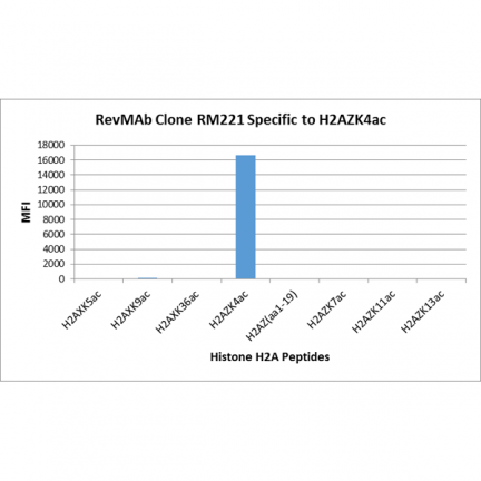 Anti-Acetyl-Histone H2A.Z (Lys7) rabbit monoclonal antibody [RM222] image 2