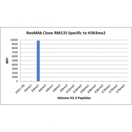 Anti-Dimethyl-Histone H3 (Lys4) Rabbit Monoclonal Antibody [RM135] image 3