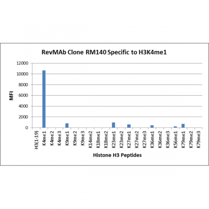 Anti-Monomethyl-Histone H3 (Lys4) rabbit monoclonal antibody [RM140] image 2