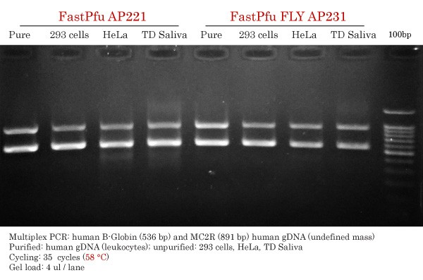 FastPfu vs FLY HiFi Comparison on gDNAs