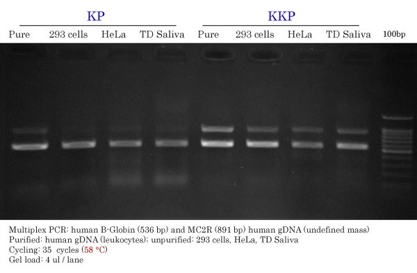 KP vs KKP HiFi Comparison on gDNAs -CivicBio