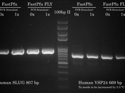 Success #4: Cloning from cDNA: human SLUG, VSP24 and NKCC2