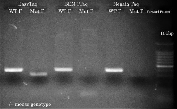 Confetti Genotyping PCR 2016-05-22 CivicBio