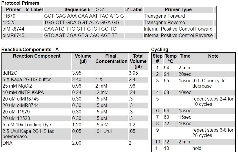 Tph2 Mouse Genotyping Protocol JAckson lab Tg(Tph2-cre/ERT2)6Gloss