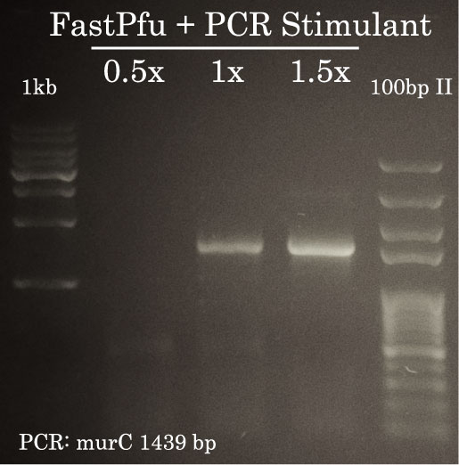 PCR murC FastPfu with PCR Stimulant gradient-Good