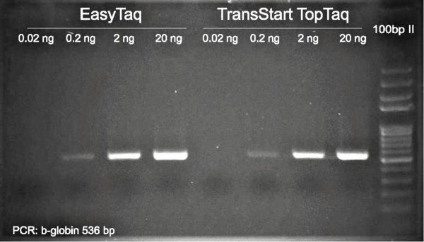PCR b-globin: Detection Limit of Taq EasyTaq vs TopTaq