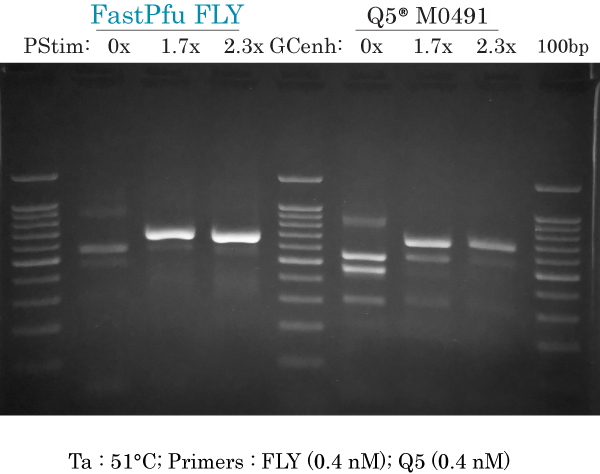ARX GC-rich PCR: FLY vs Q5 _ Ta :51 _ high primers