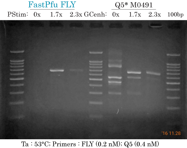 ARX GC-rich PCR: FLY vs Q5 _ Ta :53 _ low primers
