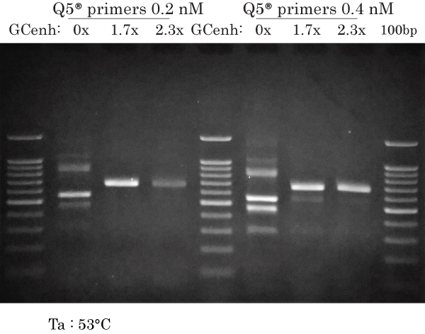 ARX GC-rich PCR: Q5 _ Ta :53 _ low vs high primers
