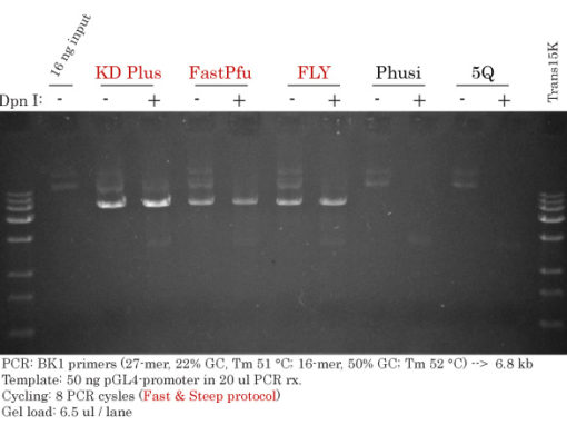 Success #20: AT-Rich Vector Amplification by Fast & Steep PCR @ ULaval