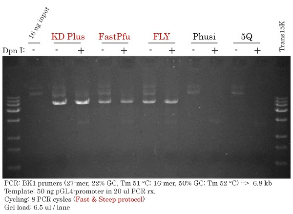 Vector Amplification #2 pGL4- promoter PCR 2017-01-27