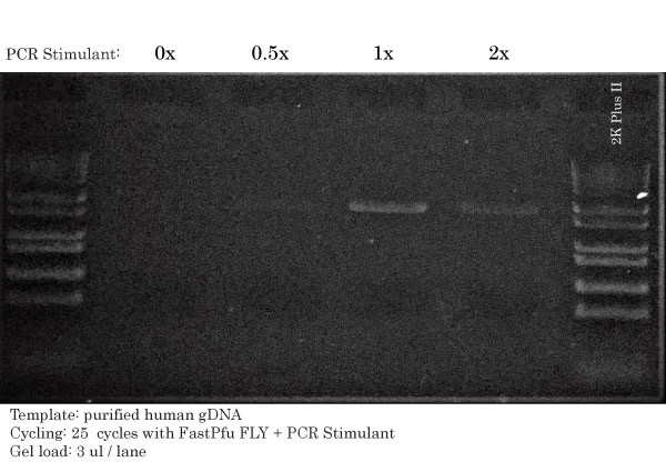 GC-rich Cloning: FLY PCR HLA with PCR Stimulant