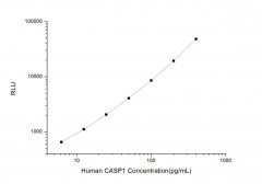Standard Curve for Human CASP1 (Caspase 1) CLIA Kit - Elabscience E-CL-H0016