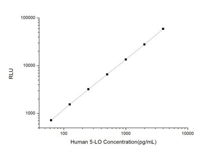 Standard Curve for Human 5-LO (Arachidonate 5-Lipoxygenase) CLIA Kit - Elabscience E-CL-H0197