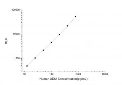 Standard Curve for Human ADM (Adrenomedullin) CLIA Kit - Elabscience E-CL-H0228