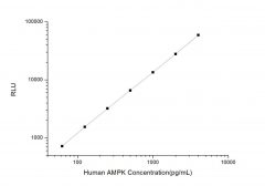 Standard Curve for Human AMPK (Phosphorylated Adenosine Monophosphate Activated Protein Kinase) CLIA Kit - Elabscience E-CL-H0257