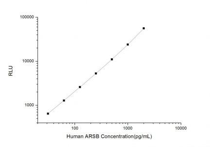 Standard Curve for Human ARSB (Arylsulfatase B) CLIA Kit - Elabscience E-CL-H0339