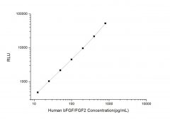 Standard Curve for Human bFGF/FGF2 (Basic Fibroblast Growth Factor) CLIA Kit - Elabscience E-CL-H0394
