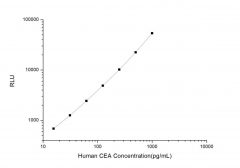 Standard Curve for Human CEA (Carcinoembryonic Antigen) CLIA Kit - Elabscience E-CL-H0492