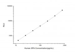 Standard Curve for Human SPA (Pulmonary Surfactant Associated Protein A) CLIA Kit - Elabscience E-CL-H0822