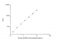 Standard Curve for Human ALDOC (Aldolase C, Fructose Bisphosphate) CLIA Kit - Elabscience E-CL-H0893