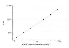 Standard Curve for Human TNNI1 (Troponin I Type 1, Slow Skeletal) CLIA Kit - Elabscience E-CL-H0916